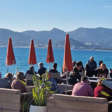 דירה Palme D'azur - Meerblick - Pool - Dachterrasse